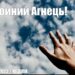 Ранкові натхнення, 26 червня 2022
