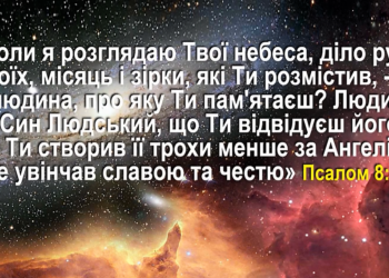 7. “Людські особи” Програма “28 основ віри”. Тед Вільсон.