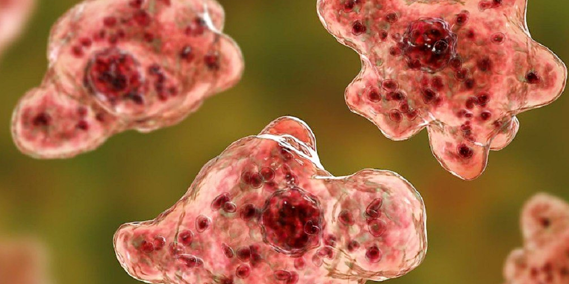 Компанія AdventHealth оголосила про прорив, який в майбутньому може рятувати життя людей.