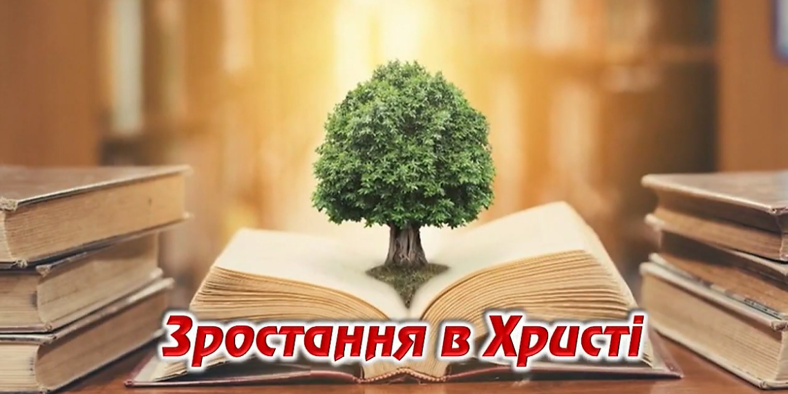 11. Зростання у Христі. Програма “28 основ віри”. Тед Вільсон