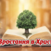 11. Зростання у Христі. Програма “28 основ віри”. Тед Вільсон