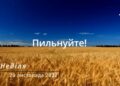 Ранкові натхнення, 20 листопада 2022
