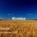 Ранкові натхнення, 25 листопада 2022
