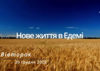 Ранкові натхнення, 20 грудня 2022