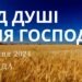 Ранкові натхнення, 31 січня 2024
