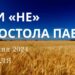 Ранкові натхнення, 28 січня 2024