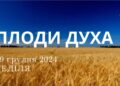 Ранкові натхнення 29 грудня 2024