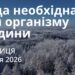 Ранкові натхнення 2 січня 2026