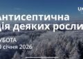Ранкові натхнення 10 січня 2026