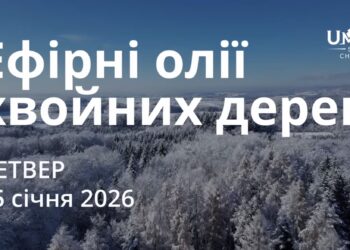 Ранкові натхнення 15 січня 2026