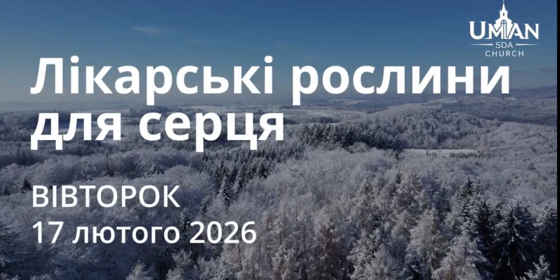 Ранкові натхнення 17 лютого 2026