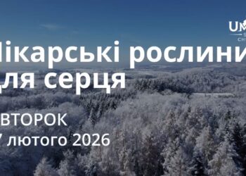 Ранкові натхнення 17 лютого 2026