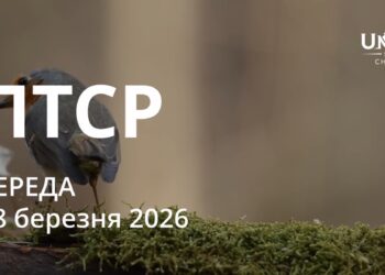Ранкові натхнення 18 березня 2026