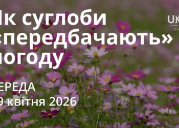 Ранкові натхнення 29 квітня 2026