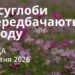 Ранкові натхнення 29 квітня 2026