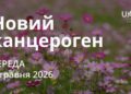 Ранкові натхнення 6 травня 2026