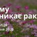 Ранкові натхнення 8 травня 2026