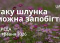 Ранкові натхнення 13 травня 2026