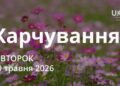 Ранкові натхнення 19 травня 2026