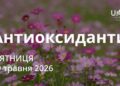 Ранкові натхнення 29 травня 2026