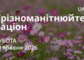 Ранкові натхнення 30 травня 2026