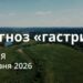 Ранкові натхнення 7 червня 2026