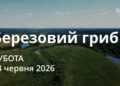 Ранкові натхнення 13 червня 2026