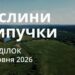 Ранкові натхнення 15 червня 2026