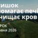 Ранкові натхнення 16 червня 2026