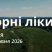 Ранкові натхнення 28 червня 2026