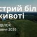 Ранкові натхнення 29 червня 2026