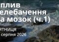 Ранкові натхнення 14 серпня 2026