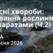 Ранкові натхнення 2 вересня 2026