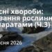 Ранкові натхнення 3 вересня 2026
