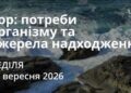 Ранкові натхнення 27 вересня 2026